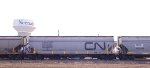 CN 388965